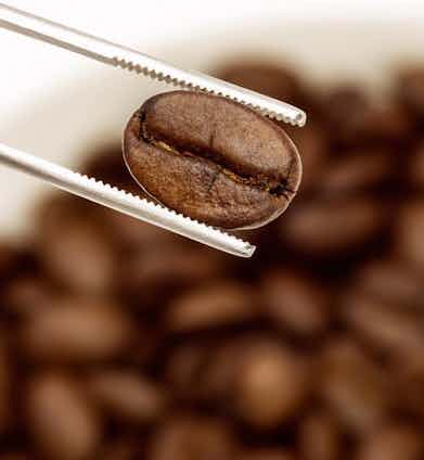 Coffee beans are best bought whole for ultimate freshness.